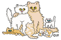 kattefamilie